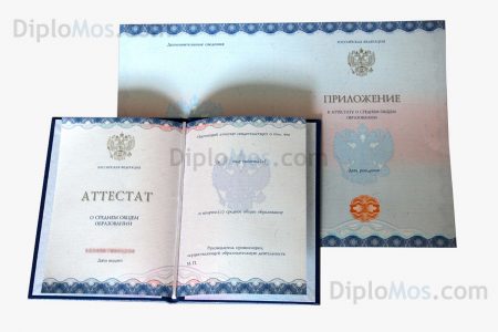 чистый бланк аттестата